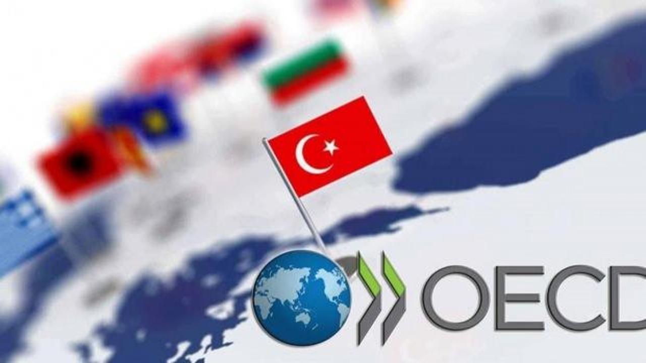 OECD'den Türkiye açıklaması: 2026 yılını işaret etti