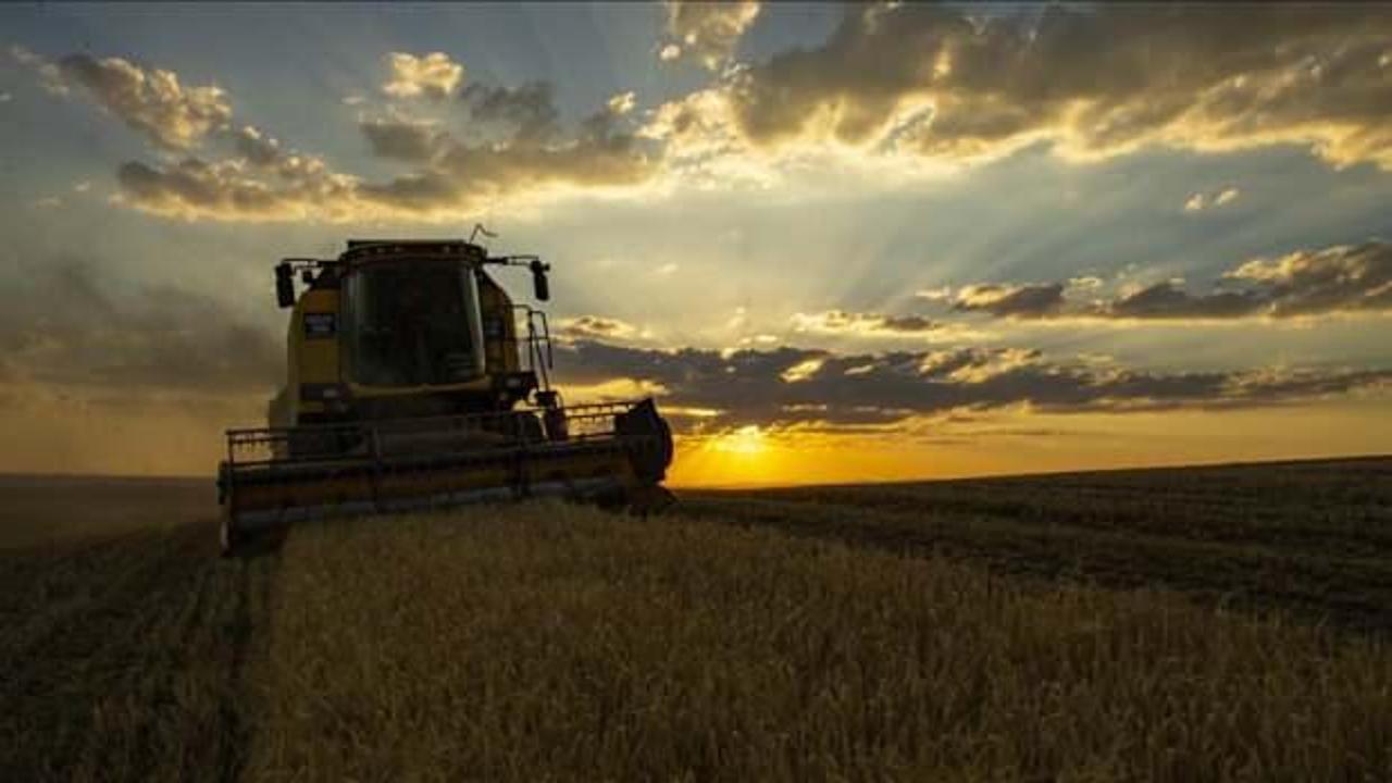 Kırsal kalkınma destekleri için başvurular 21 Nisan'a kadar devam edecek