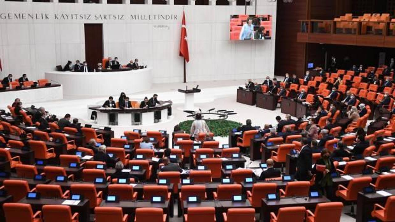 TBMM'den 'Sırrı Süreyya Önder' kararı
