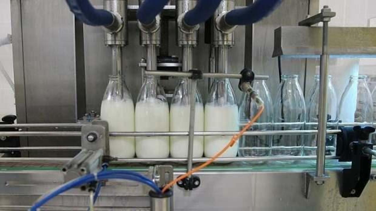 Toplanan inek s&uuml;t&uuml; miktarı şubatta 857 bin 821 ton oldu