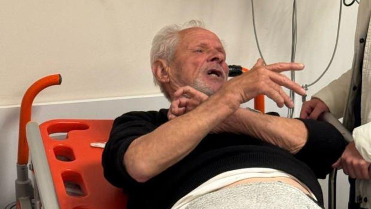 Balıkesir'de ayı saldırısı: Omzundan ve ayağından yaralandı!