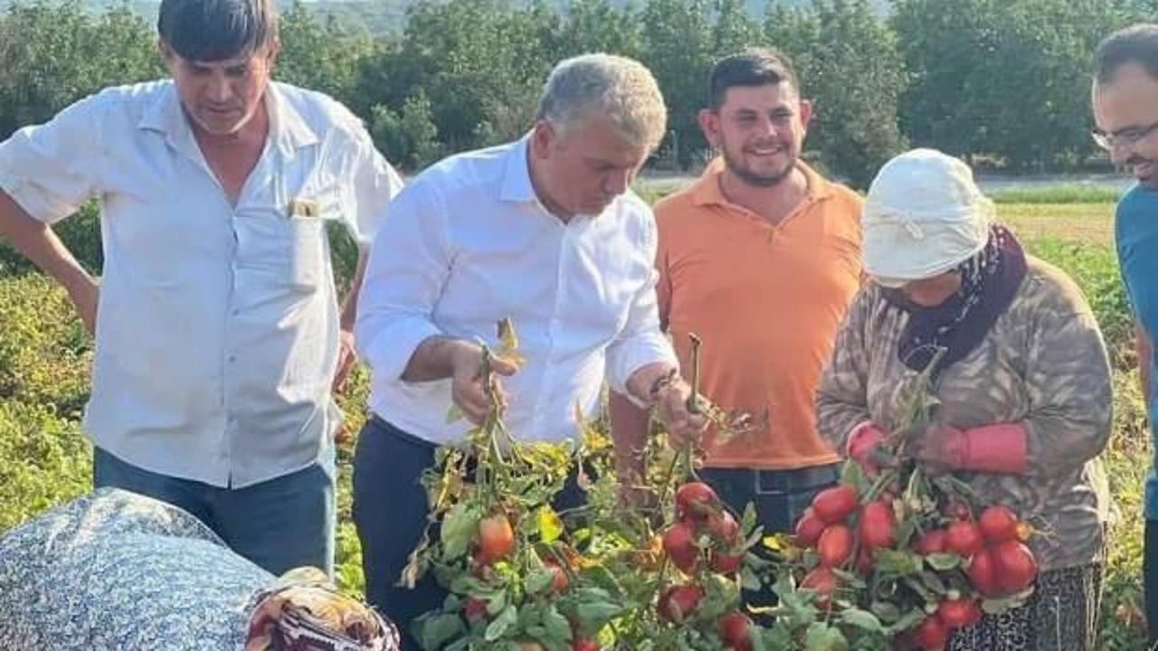 Milletvekili Canbey: 'Çiftçimizin sesi olmaya devam ediyoruz'