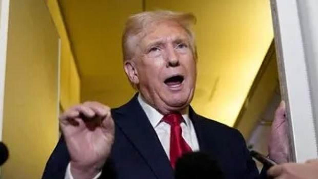 ABD'de 12 eyalet, Trump'a karşı harekete geçti