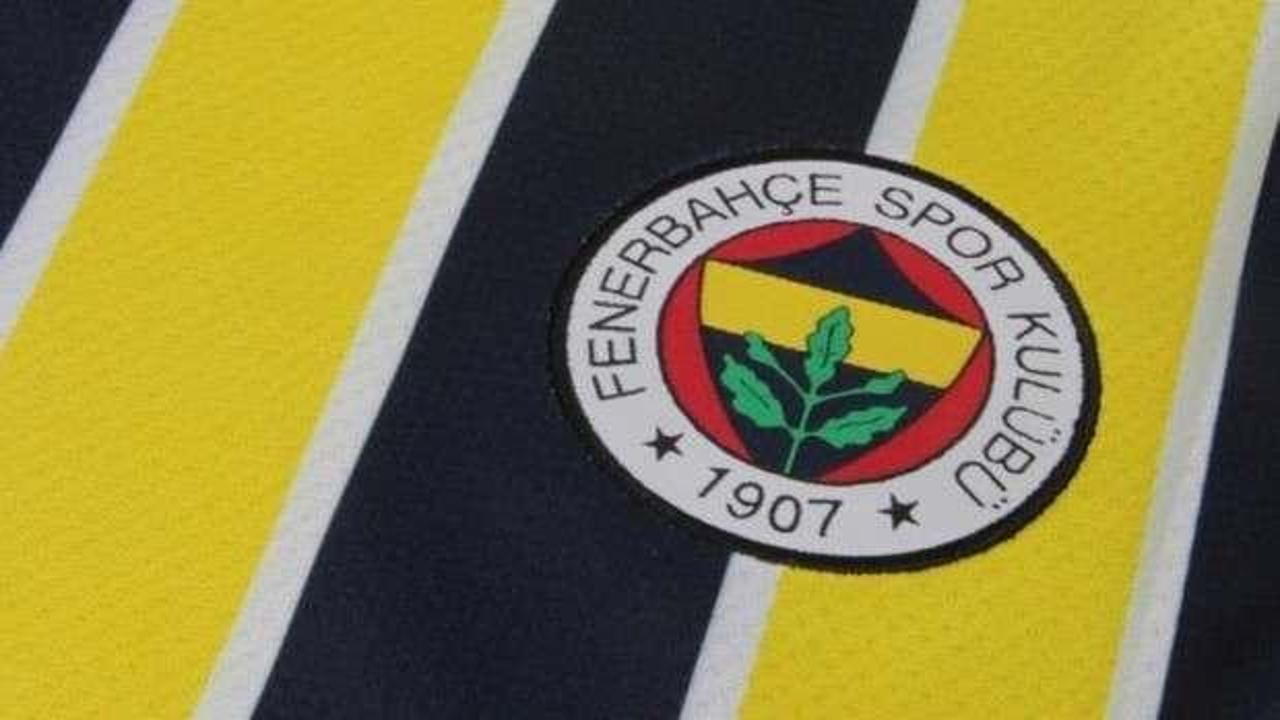 Anelka ve Alex'i getirmişti: Fenerbah&ccedil;e'de bir isim daha başkanlığa aday