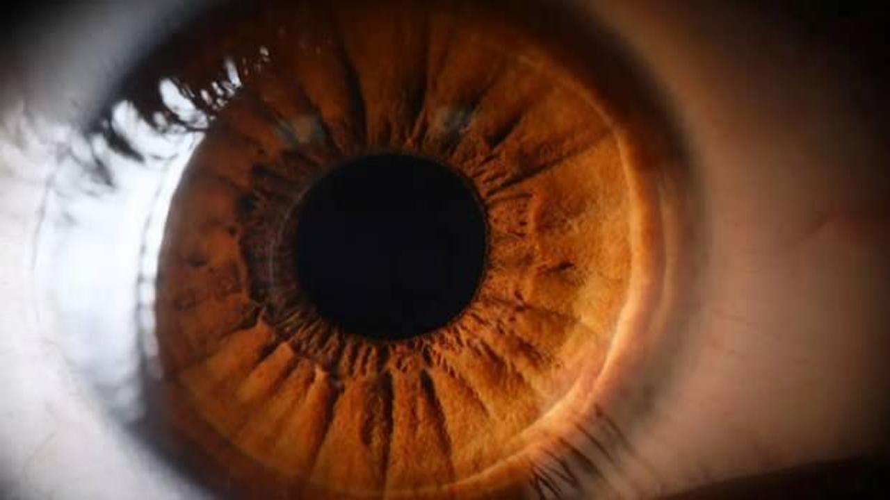 Bilim insanları g&ouml;rmeyi geri getiren tedaviyi buldu