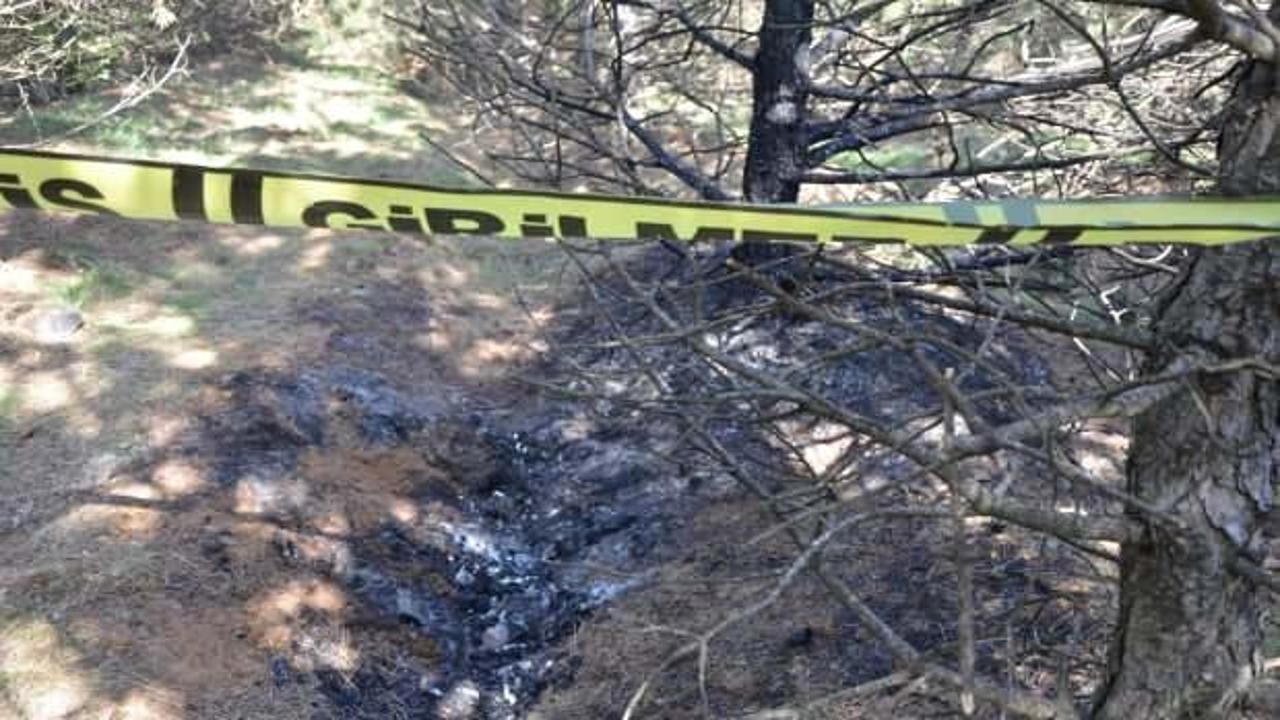 Kayıp gen&ccedil; kadın, ormanda yakılarak &ouml;ld&uuml;r&uuml;ld&uuml;