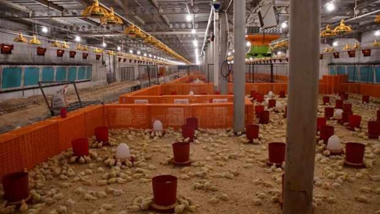 Devlet desteğiyle tesis kurdu: 70 binden 92 bine çıkardı