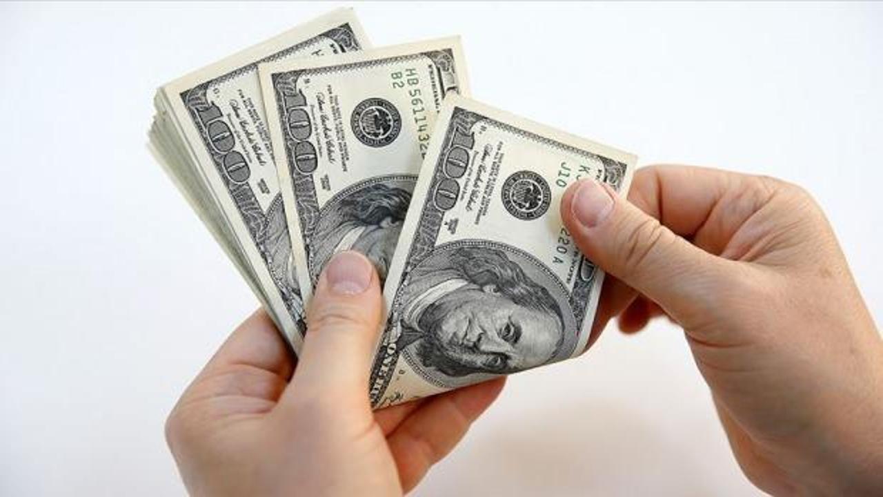 Finansal kesim dışındaki firmaların net döviz açığı şubatta arttı