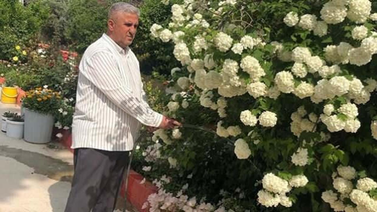 Mahallelinin gönlünü fetheden imam: Camiyi çiçek bahçesine çevirdi 