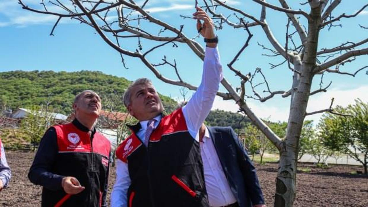 Milletvekili Canbey'den zirai dondan etkilenen üreticiye ziyaret 