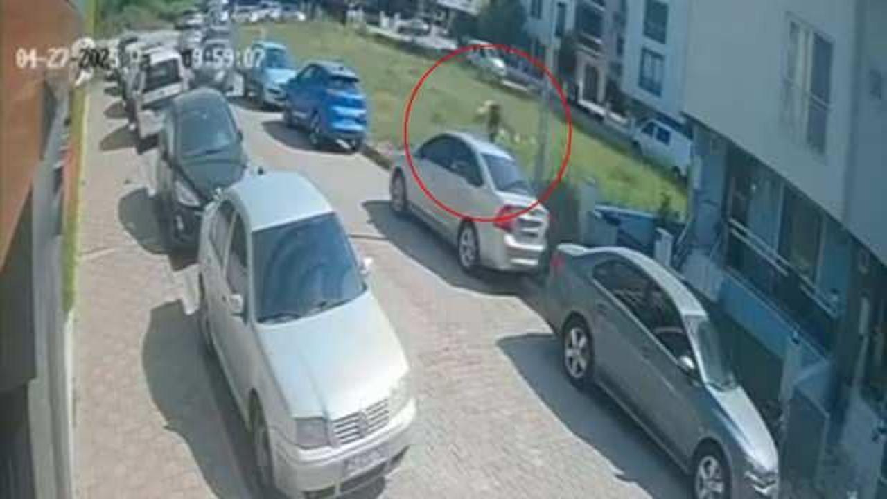 Sokak k&ouml;peklerinden ka&ccedil;arken başını otomobile &ccedil;arpan &ccedil;ocuk yaralandı