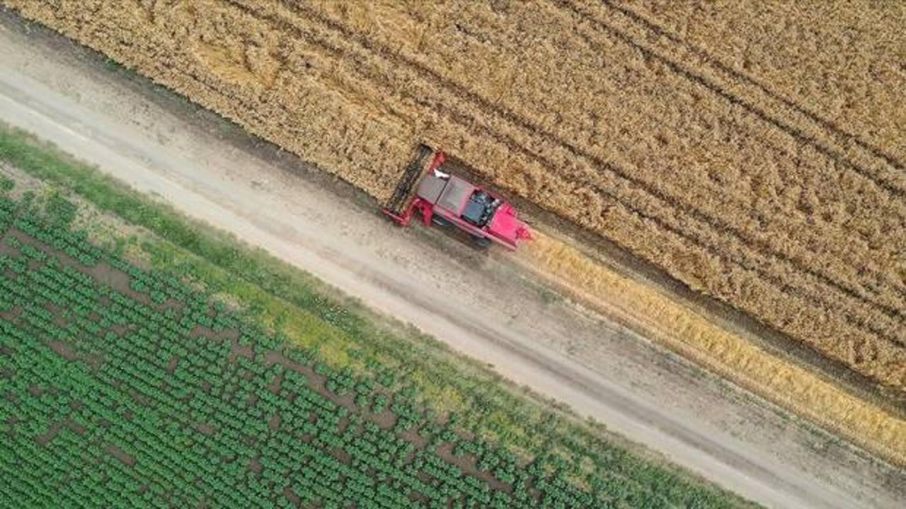 Tarımsal girdi fiyat endeksi şubatta yıllık yüzde 28,92, aylık yüzde 2,35 arttı