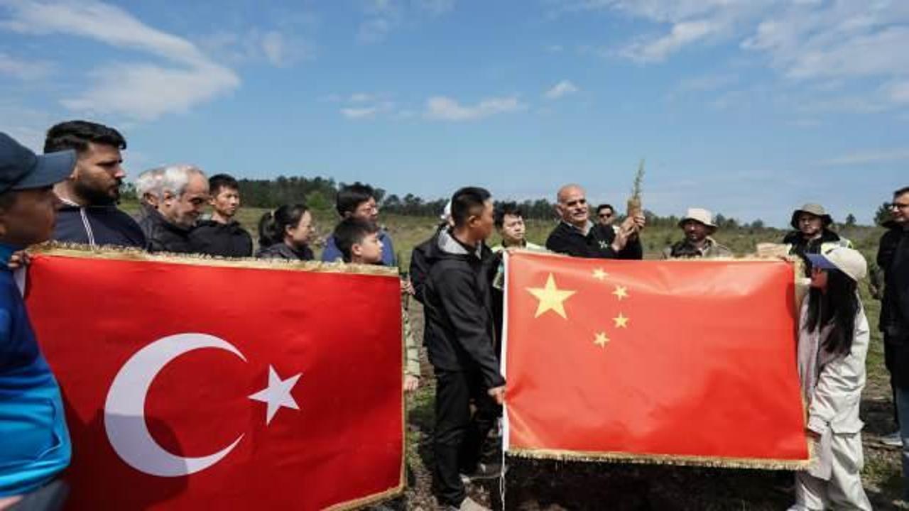 T&uuml;rkiye-&Ccedil;in dostluğunun sembol&uuml; 10 bin fidan toprakla buluştu