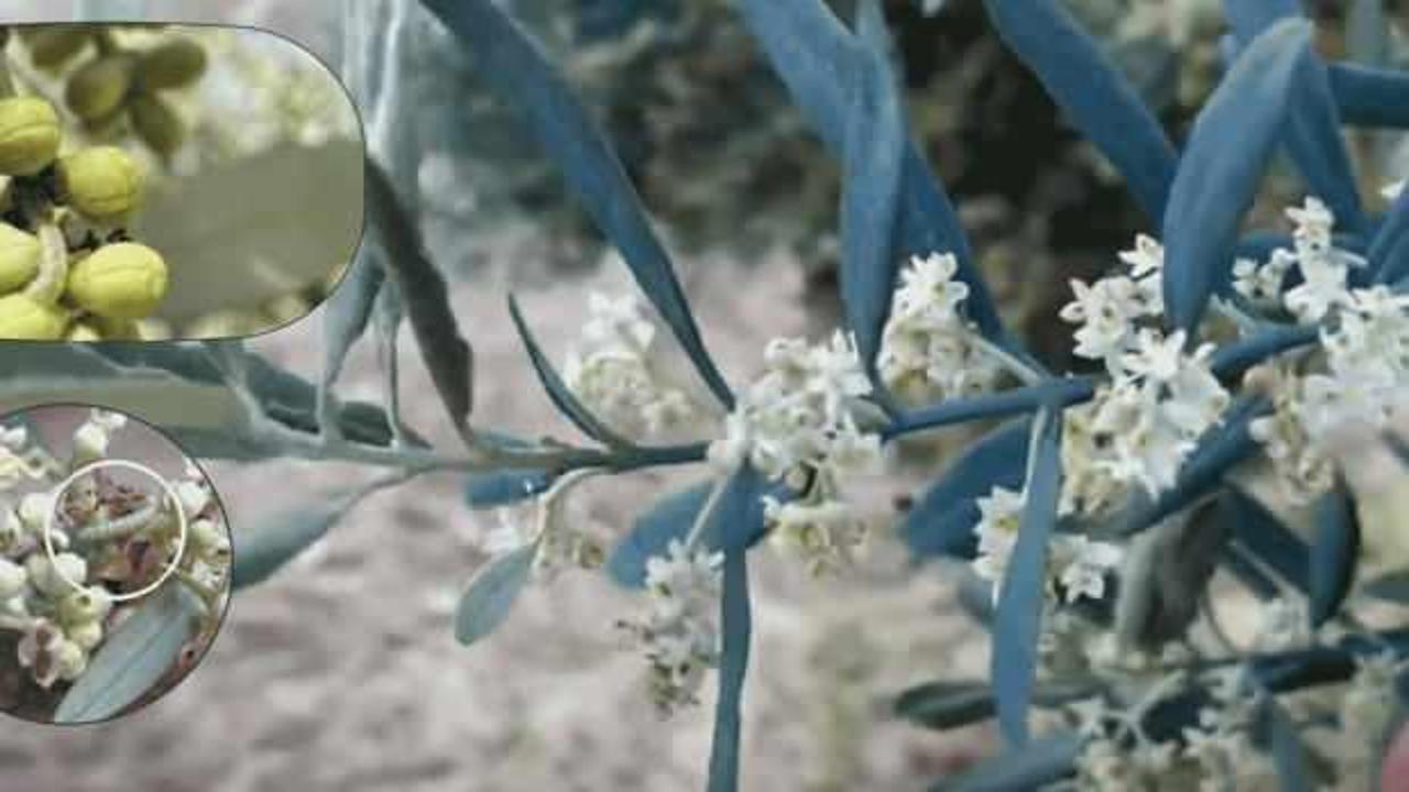 &Ccedil;ift&ccedil;inin kabusu geri d&ouml;nd&uuml;! Kendisi k&uuml;&ccedil;&uuml;k zararı b&uuml;y&uuml;k... İla&ccedil;lama &ccedil;ağrısı yapıldı