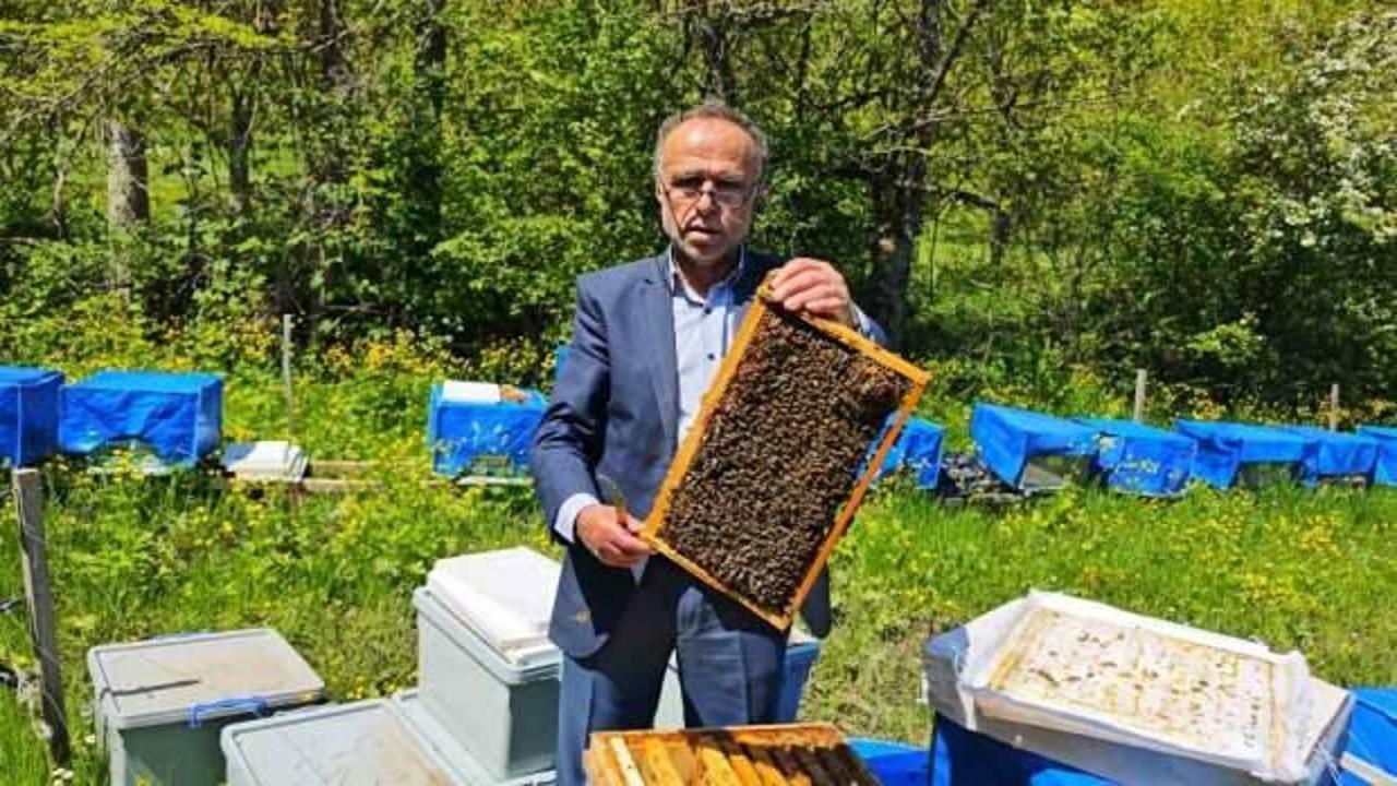 Zirai don arıcılığı da vurdu! Yüzde 60'a varan kayıp bekleniyor