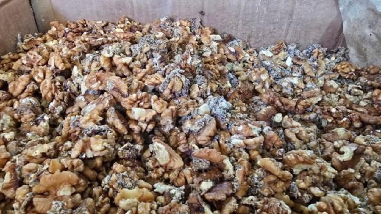 Deposunda 11 ton kurtlanmış ceviz çıkan baklava firmasından çelişkili açıklama! 