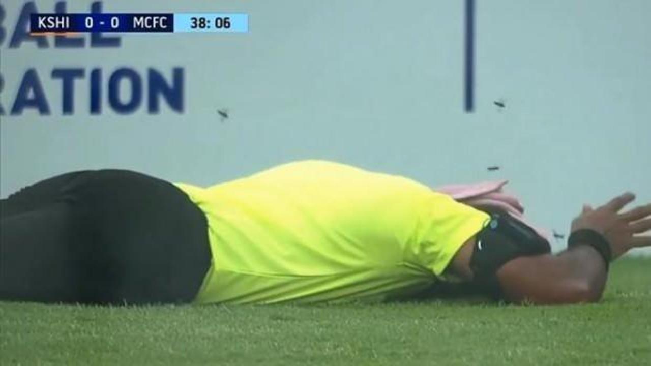 Black Mirror ger&ccedil;ek oldu: Arılar sahayı ele ge&ccedil;irdi, hakem yere yığıldı