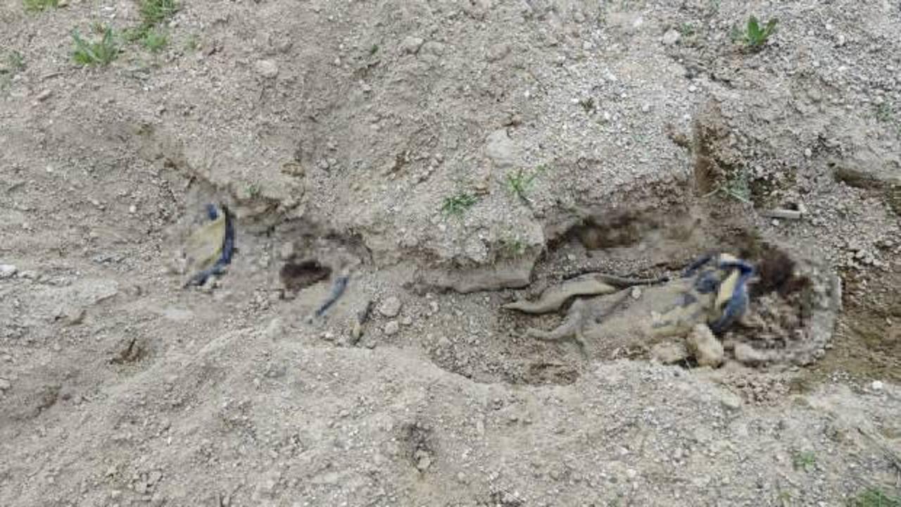 Nevşehir'de kan donduran olay: &Ccedil;oban, battaniyeye sarılarak g&ouml;m&uuml;lm&uuml;ş ceset buldu!