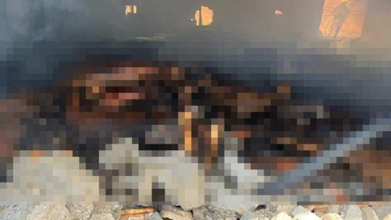 Balıkesir’de ağılda çıkan yangında 42 küçükbaş telef oldu