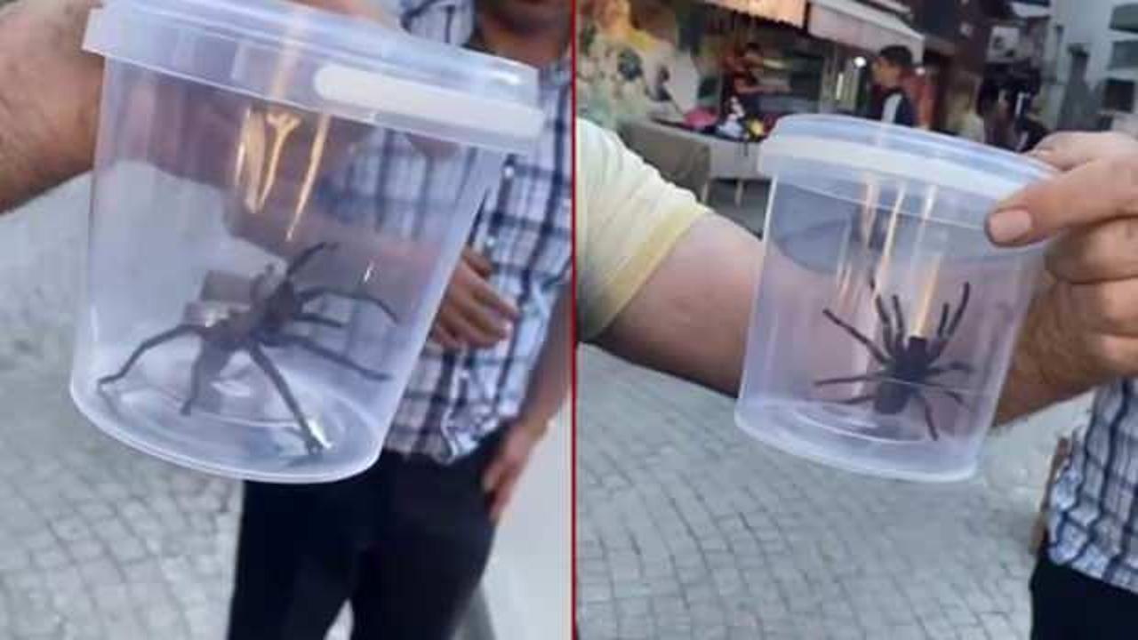 Elazığ'da g&ouml;r&uuml;ld&uuml;: Dev et&ccedil;il &ouml;r&uuml;mcek paniğe neden oldu!