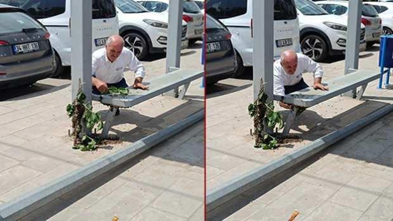 Batman'da panik anlar: Arıların toplandığı yeri g&ouml;renler g&ouml;zlerine inanamadı! 