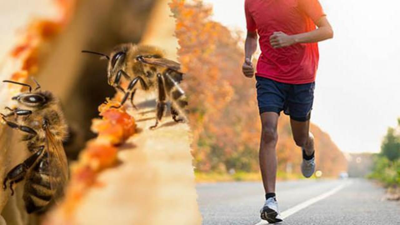 Profesyonel sporcuların sırrı: Kasları çelik gibi yapıyor, enerji veriyor, sakatlıkları anında iyileştiriyor!