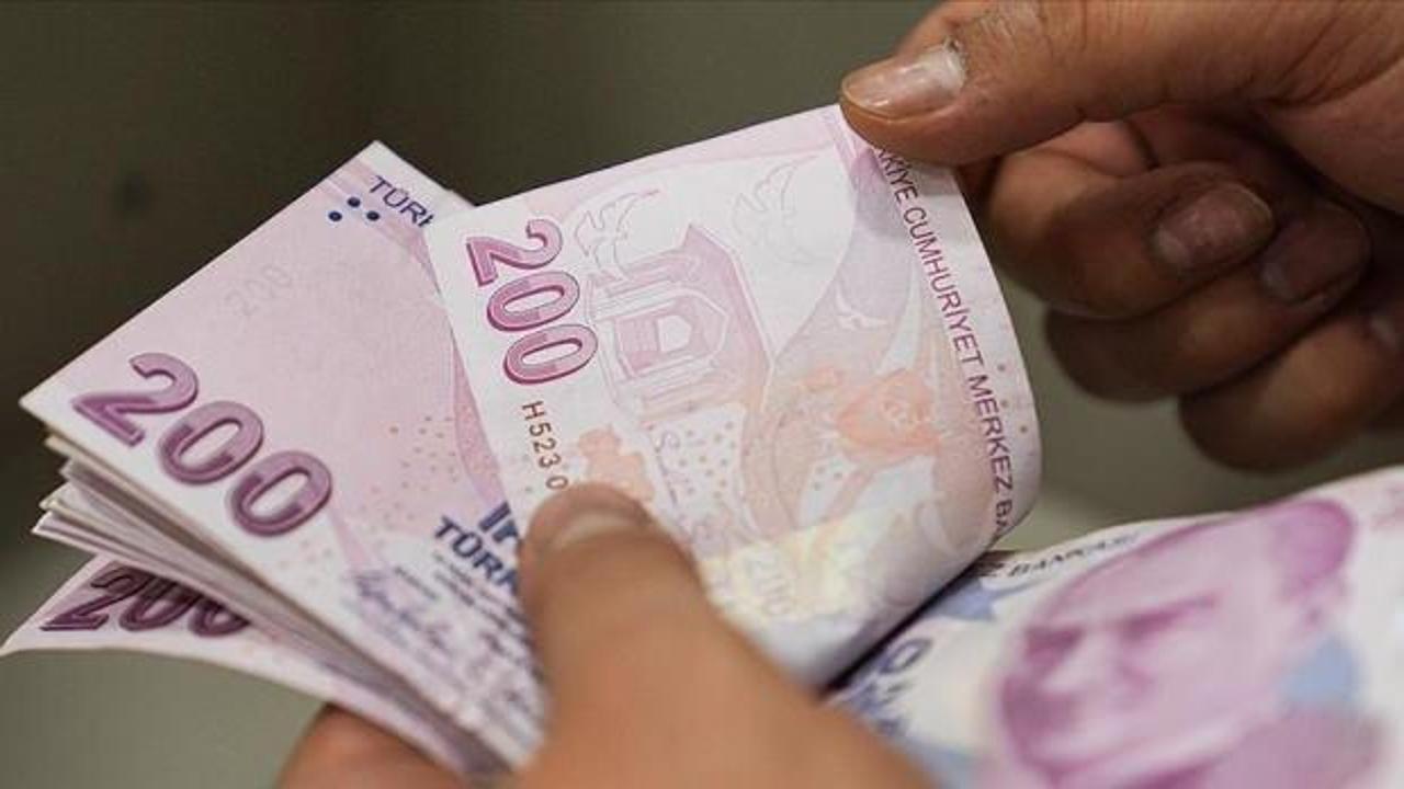  Reel efektif d&ouml;viz kuru endeksi nisanda geriledi