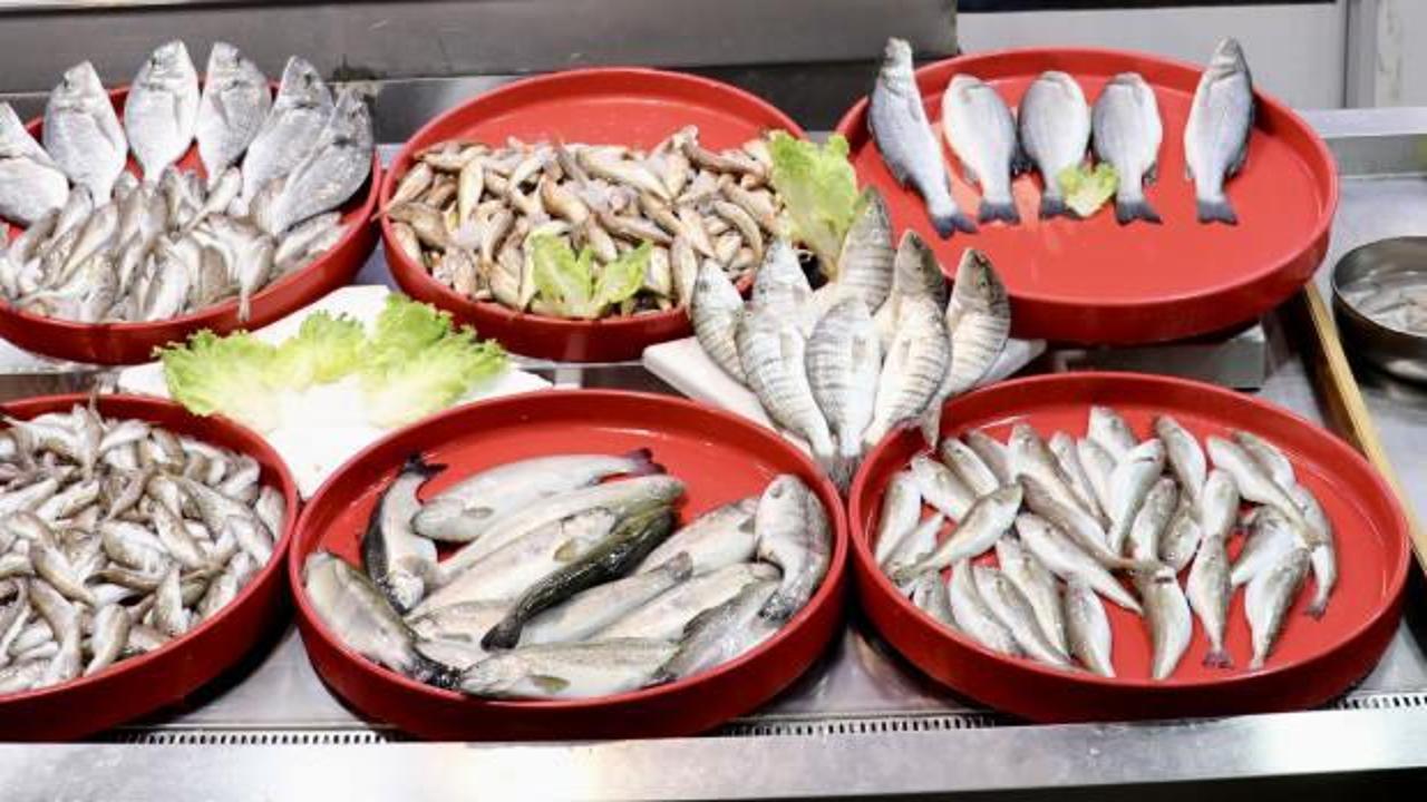 Trabzon'da balıkçı tezgahlarında çeşitlilik sürüyor