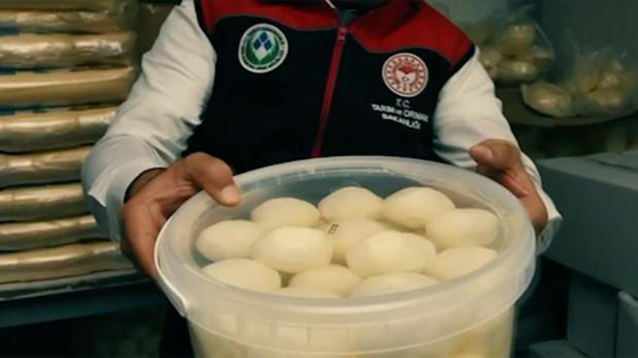 Ankara'da süt ürünleri üretimi ve satışı yapan 39 işletmeye denetim