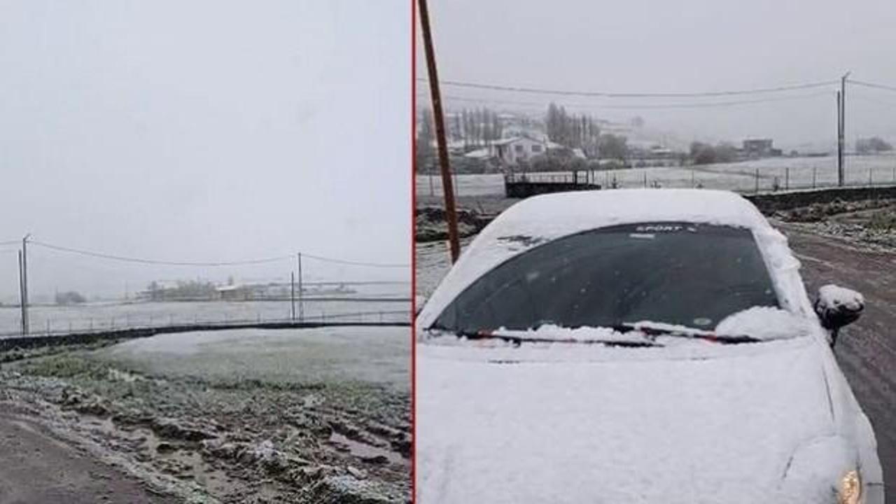  Ardahan'a mayıs karı! 