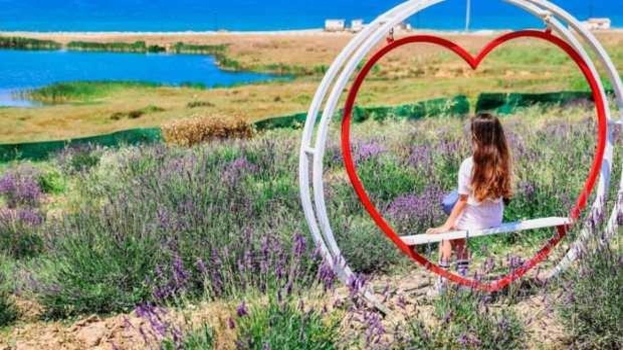 CHP lavanta bah&ccedil;esini sattı: AK Parti'den sert tepki!