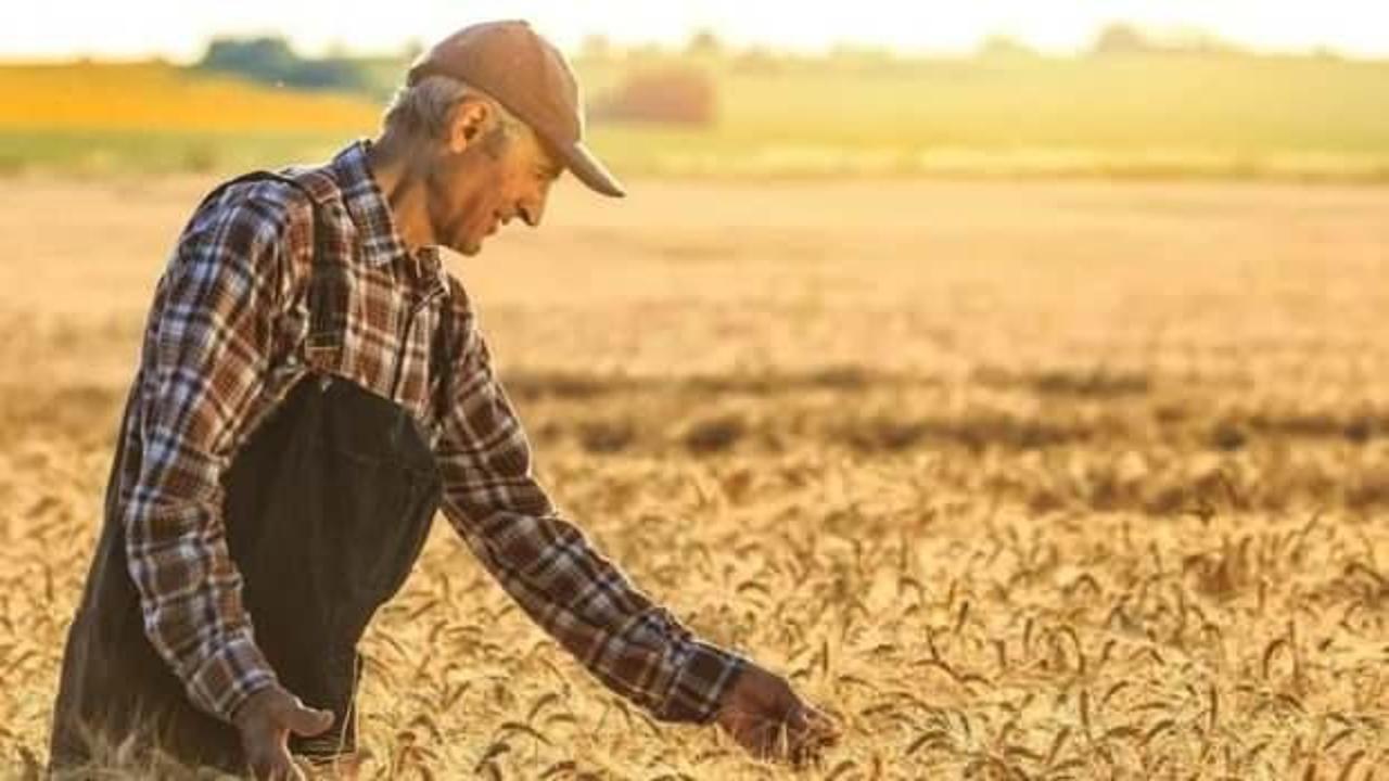 &Ccedil;ift&ccedil;ilere 5,1 milyar lira destek &ouml;demesi bug&uuml;n yapılacak