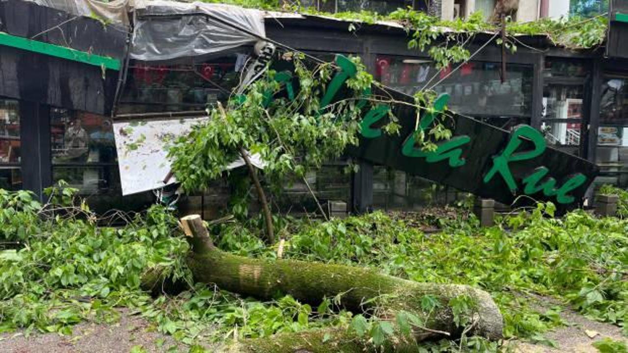 Kocaeli'de şiddetli r&uuml;zgar! Hasara yol a&ccedil;tı