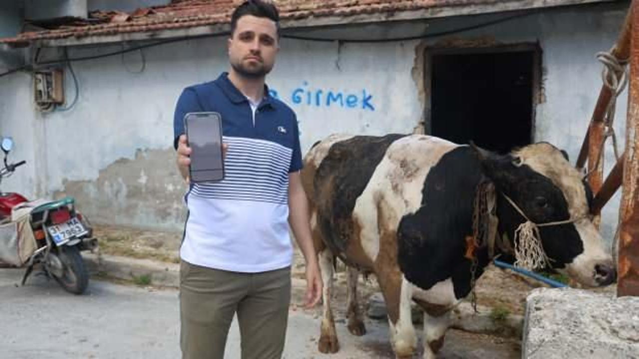 Kurban Bayramı öncesi bu dolandırıcılara dikkat: 200 bin TL'sini kaptırdı!