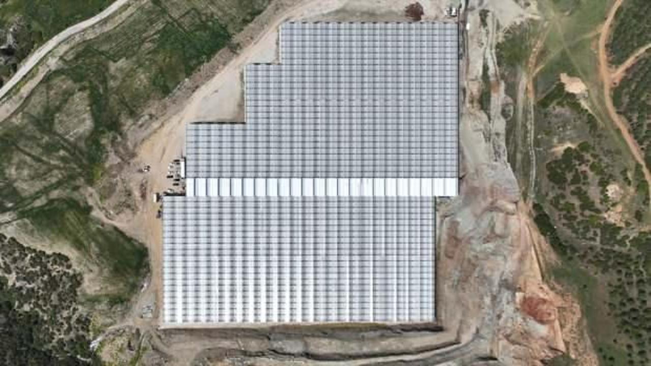 Manisa'da jeotermal serada üretilen 500 ton domates ihraç edildi