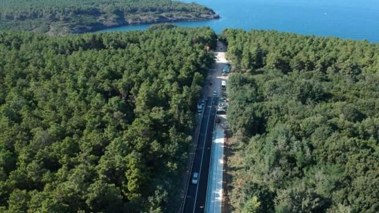 Sinop'ta ormana girişler 31 Ekim'e kadar yasak!