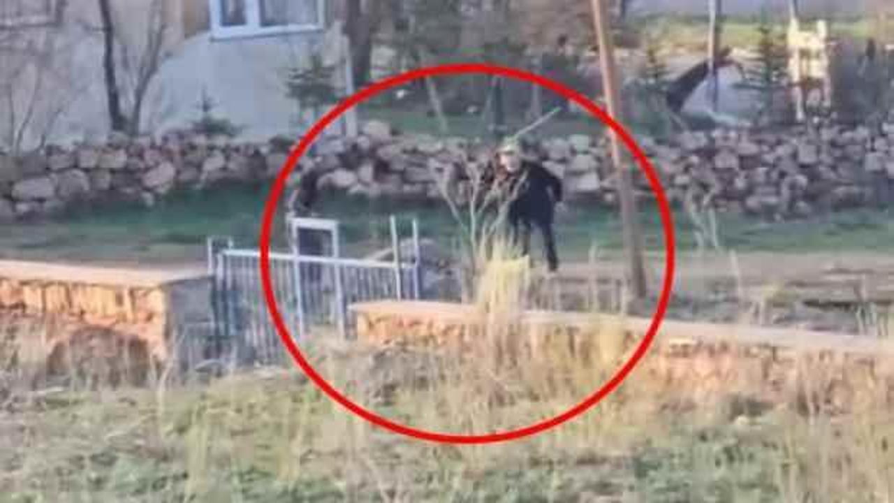 Sivas'taki görüntüler vicdanları sızlatmıştı: Sopayla dövülen eşek öldü! 