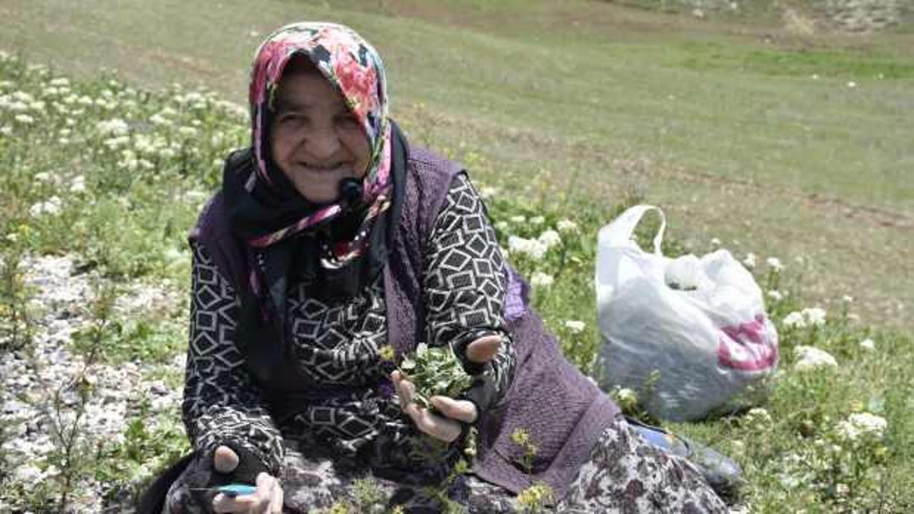 Tam bir mide ve bağırsak dostu! Kilogramı 100-150 TL arasında satılıyor