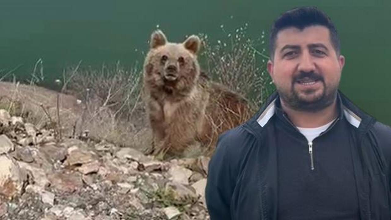 Yer: Sivas! Ayıya yem olmaktan son anda kurtuldu 