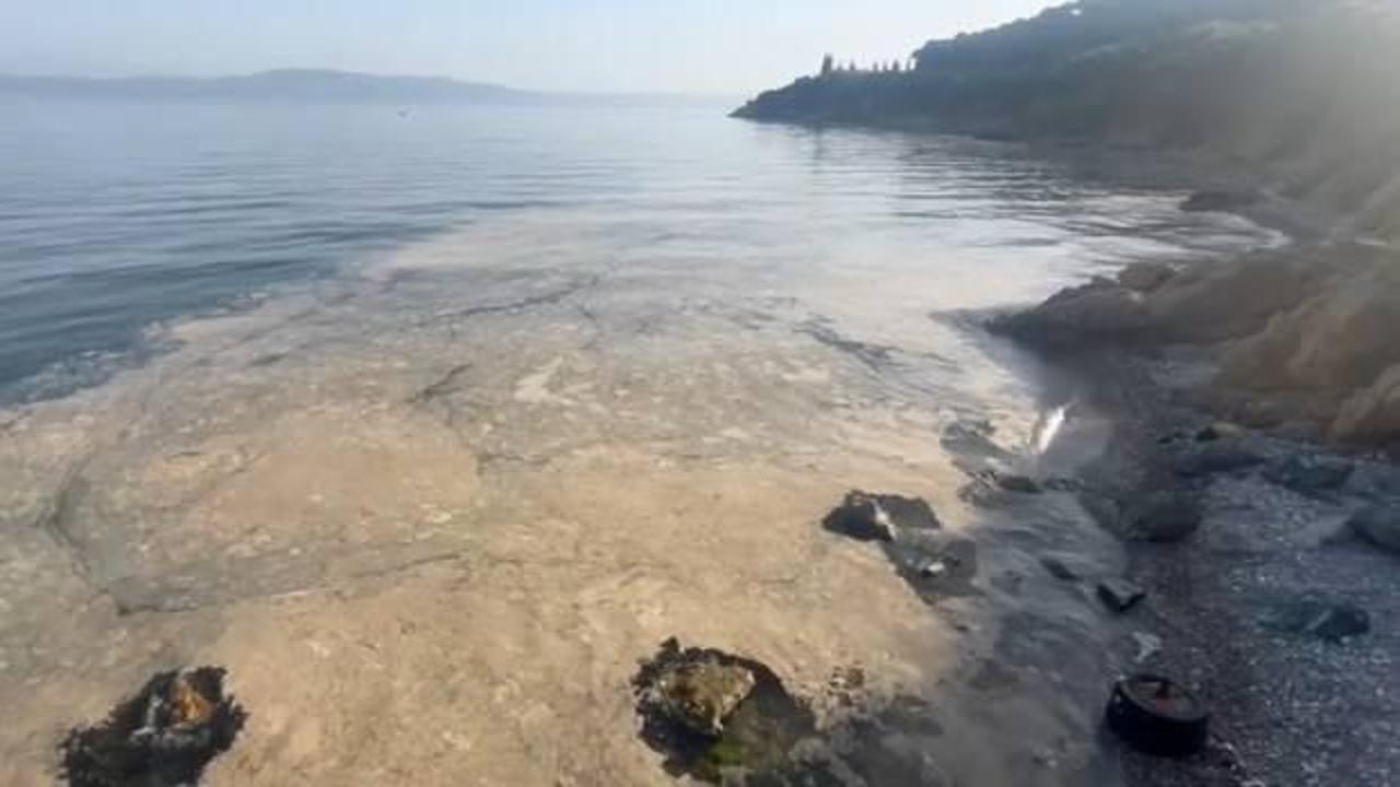 Bursa sahillerinde müsilaj alarmı