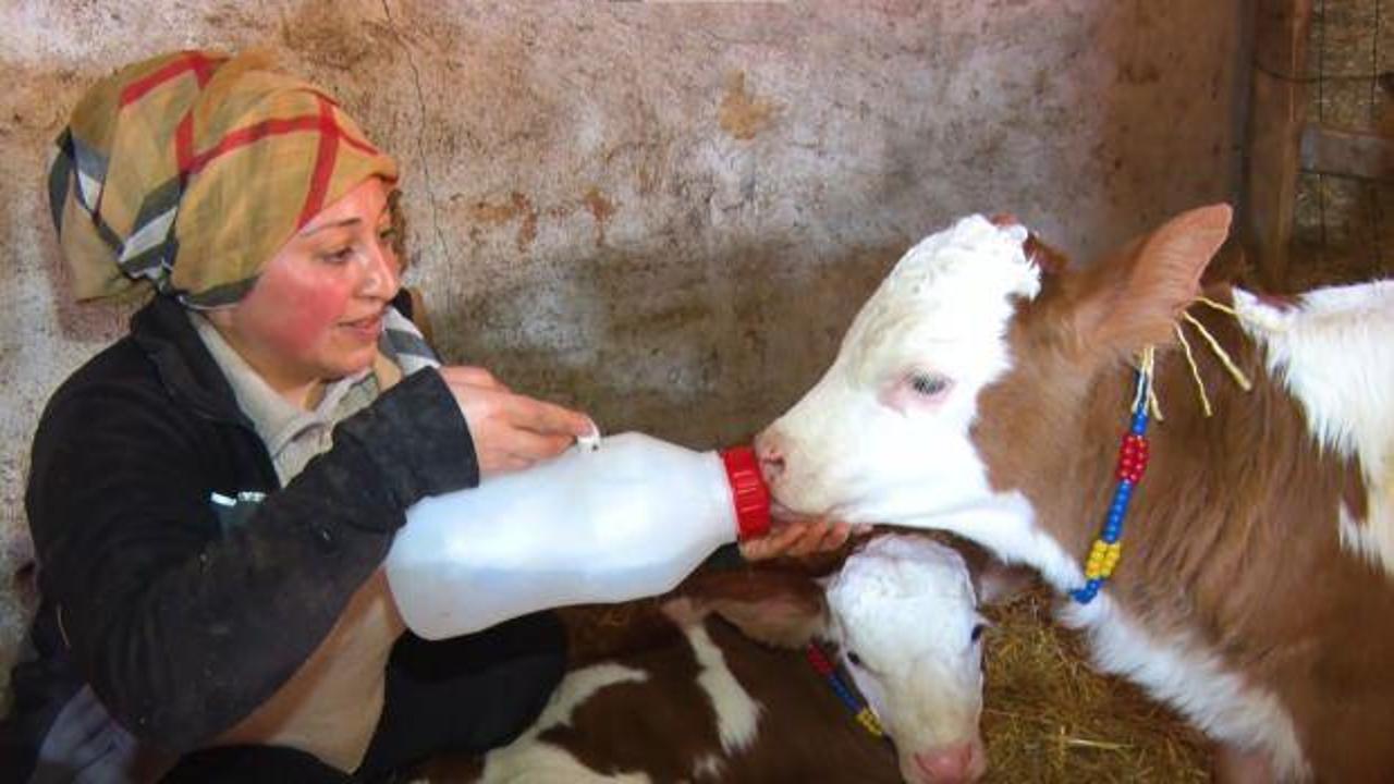 'Kadınsın yapamazsın' diyenlere kulak asmadı, çiftlik kurdu