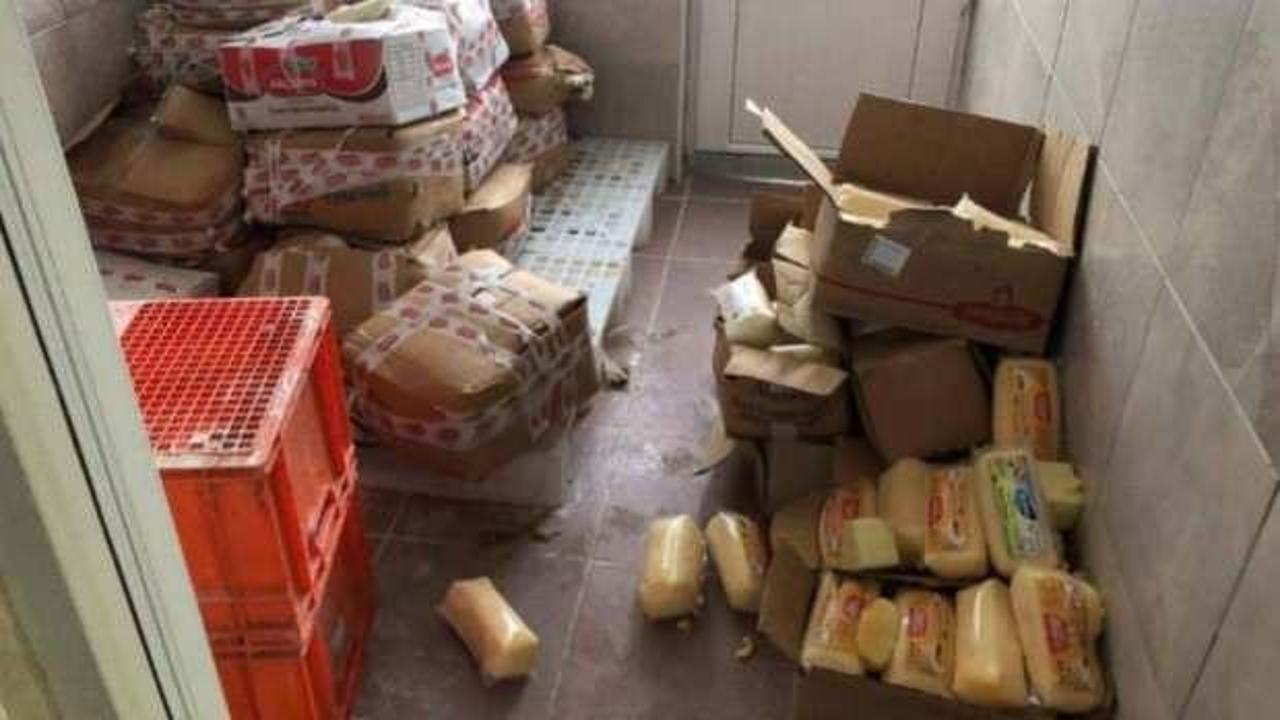 Sakarya'da tonlarca sahte kaşar ele geçirildi! 