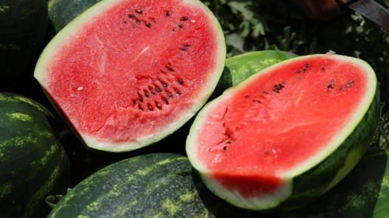 Adana karpuzunda hasat başladı: Kilosu 20-24 lira