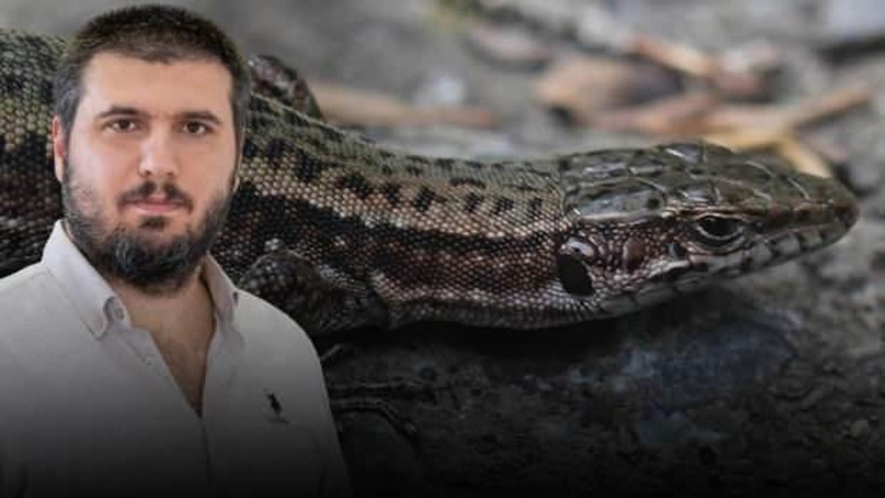 Arazi incelemesi sırasında keşfetti: 'Heyecanla birbirimize sarıldık'