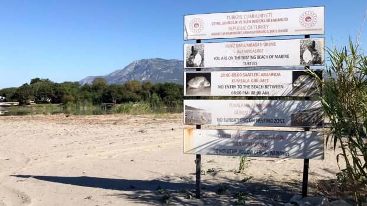 Bu sahillere gece girenler yandı: Cezası cep yakıyor!