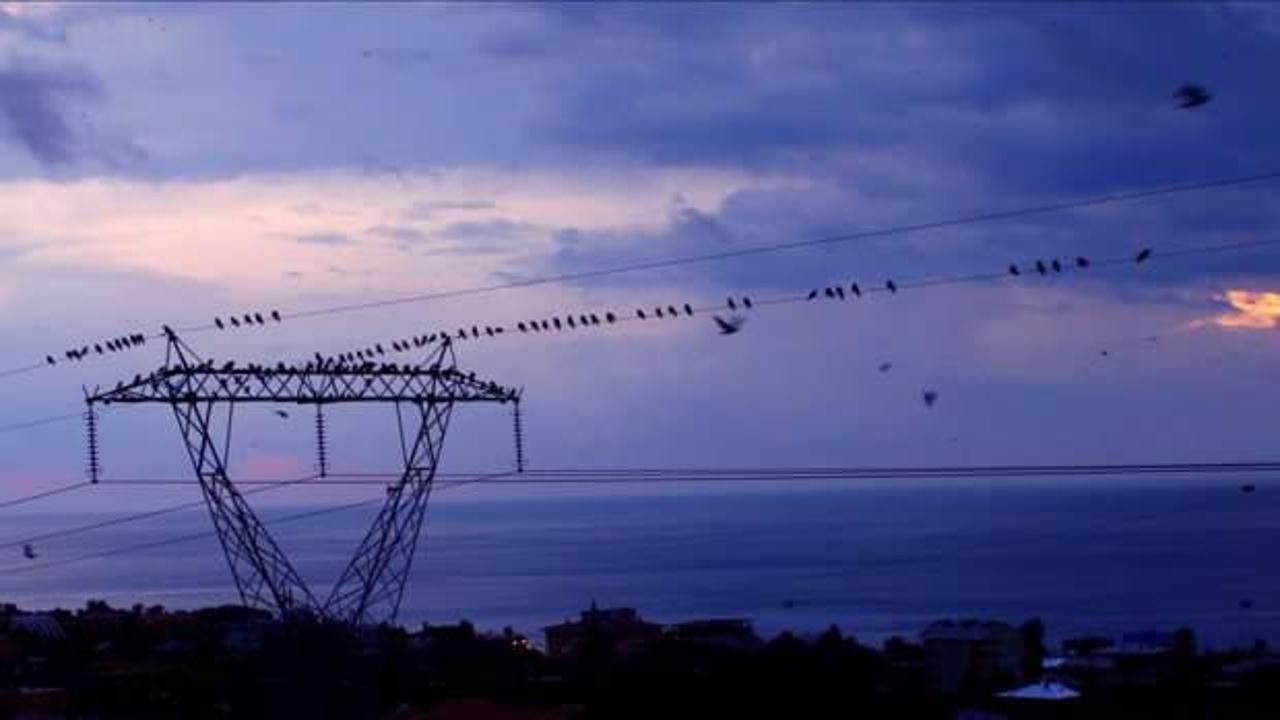 G&uuml;nl&uuml;k elektrik &uuml;retim ve t&uuml;ketim verileri