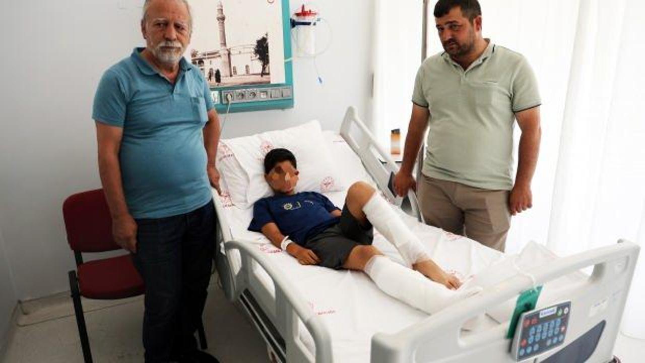 Muğla'da başıboş k&ouml;peklerin saldırısına uğrayan &ccedil;ocuğun ailesi konuştu