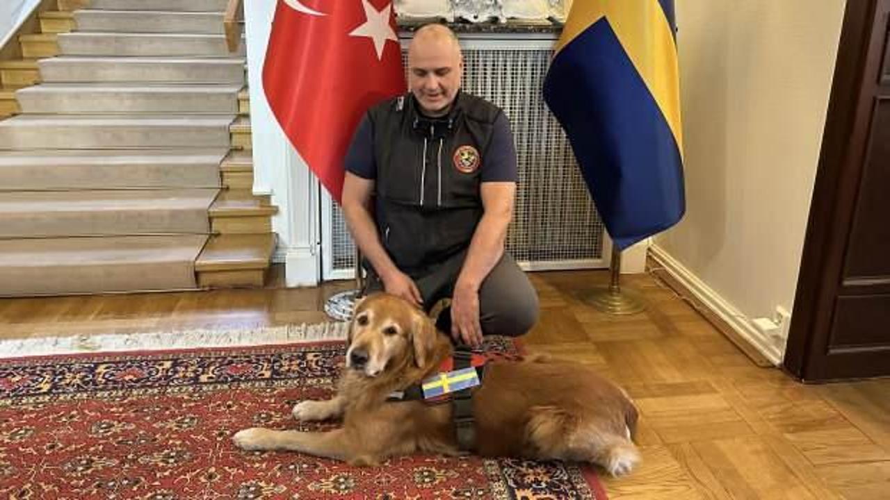 Asrın felaketinde 18 kişiyi kurtaran köpek hayatını kaybetti