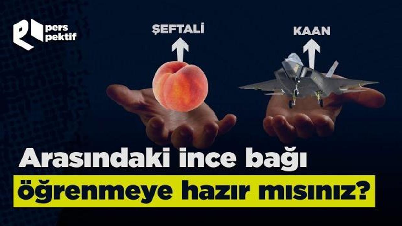 T&uuml;rkiye&rsquo;nin yerli sanayi ve teknoloji m&uuml;cadelesi nasıl başarılı oldu?