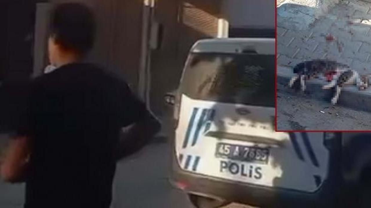 Manisa'da vicdan sızlatan olay: Sokak kedisini pompalı tüfekle vurarak öldürdü